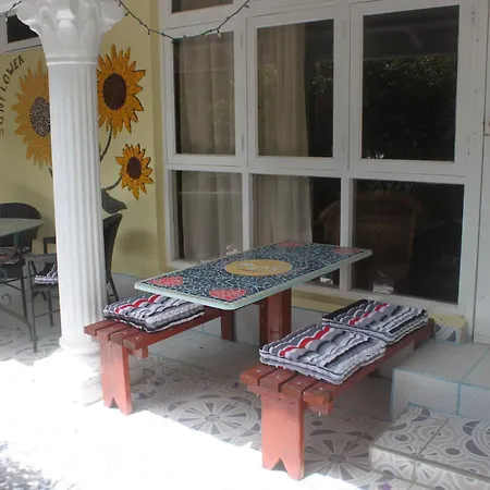 Sunflower Villa Studios